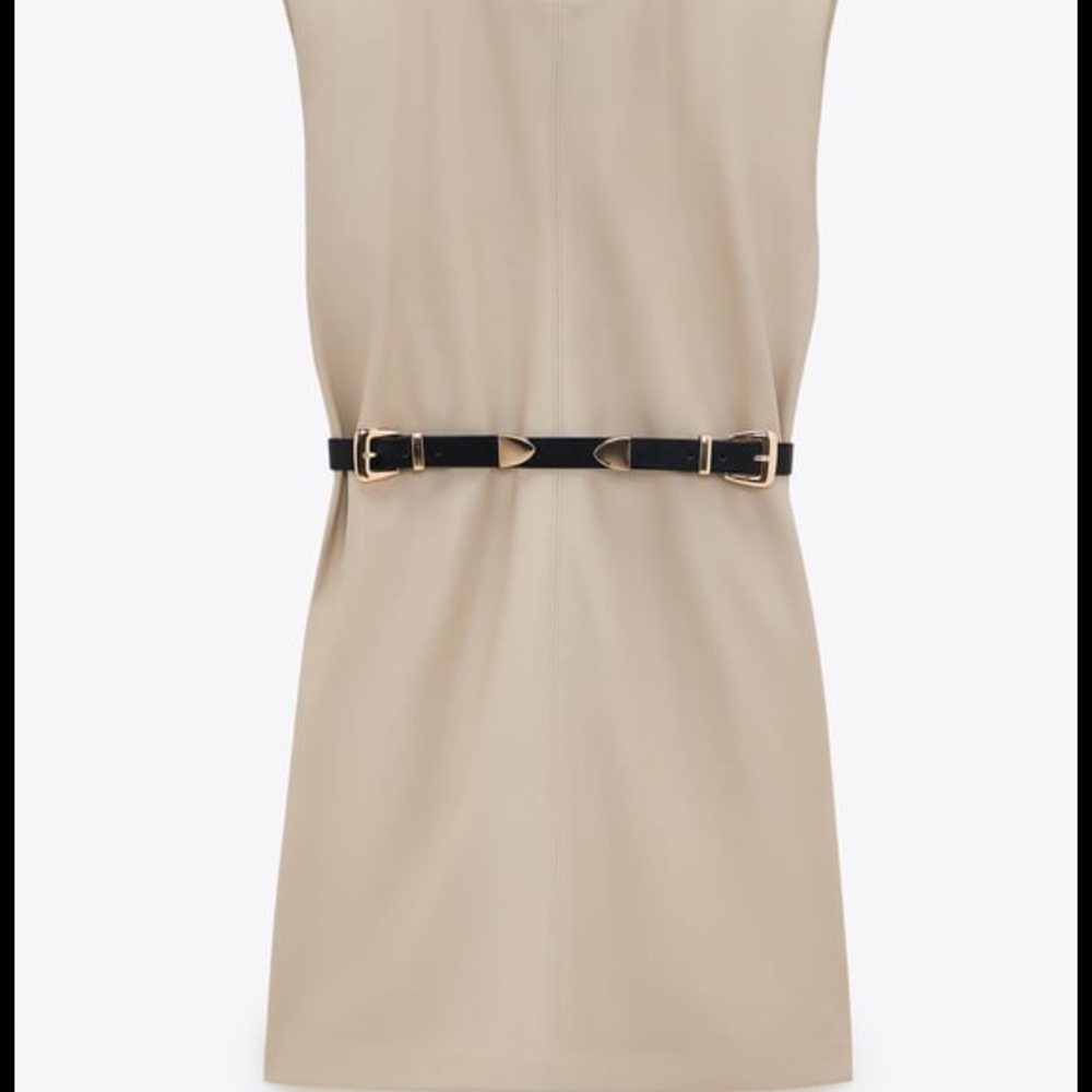 Zara dress